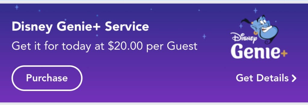 An overview of Disney Genie+ enhancing the visitor experience at Disney parks, showcasing attractions and services.